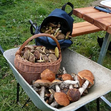 Brigit Chata Vrbno pod Pradědem